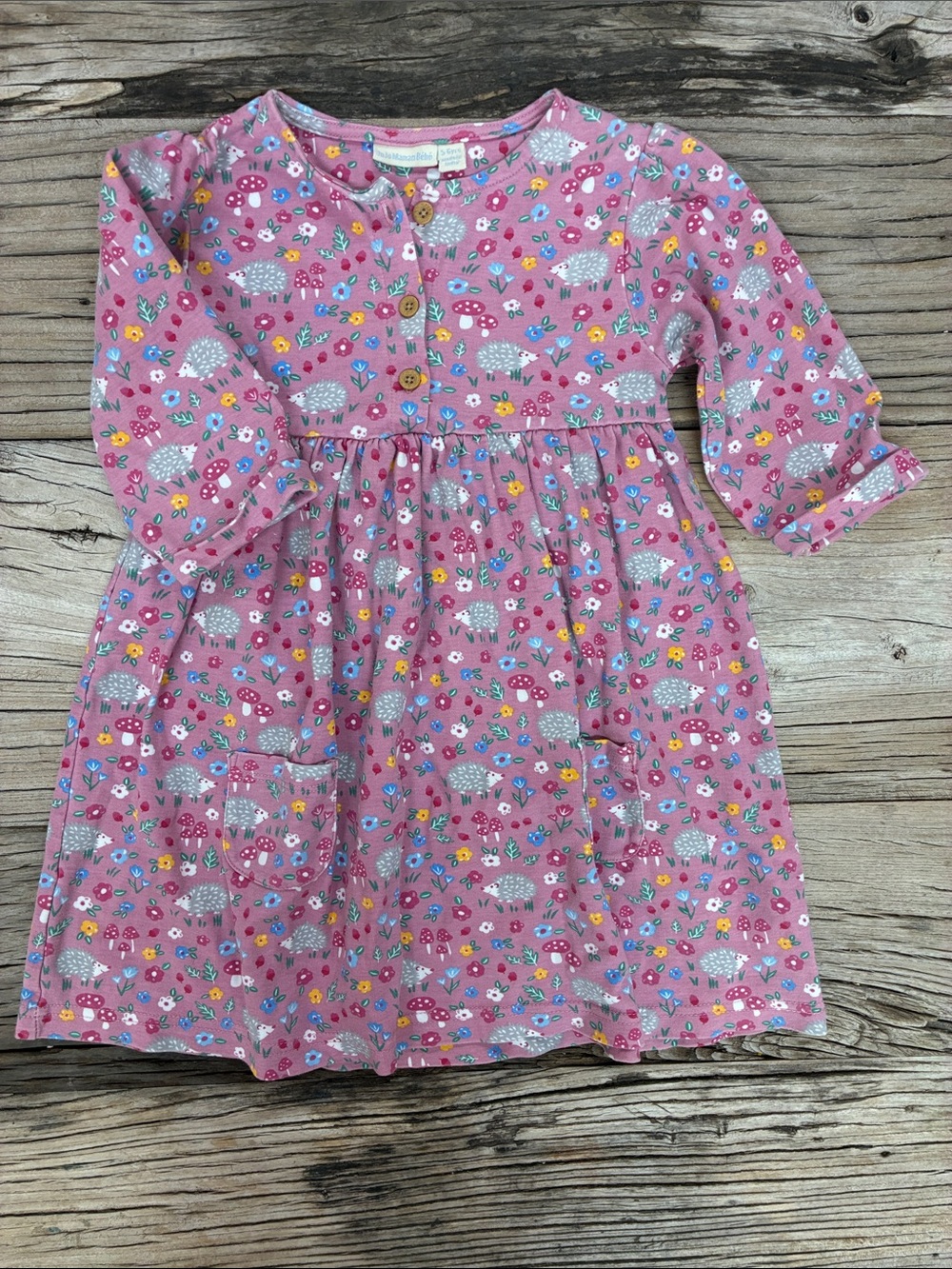 Jojo Maman Bebe Pink Floral Hedgehog Long-Sleeve Button Front Dress Size 5 Yrs